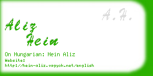aliz hein business card